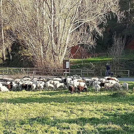 El Parais, Naturalmente.